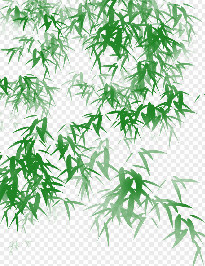 Bamboo Shoot Leaf Icon PNG