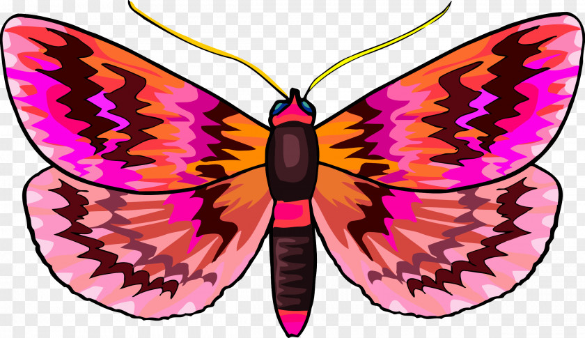 Butterfly Clip Art PNG