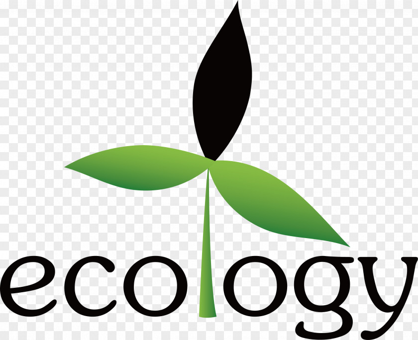 Leaf Trunk Tree Structure Logo Diagram PNG