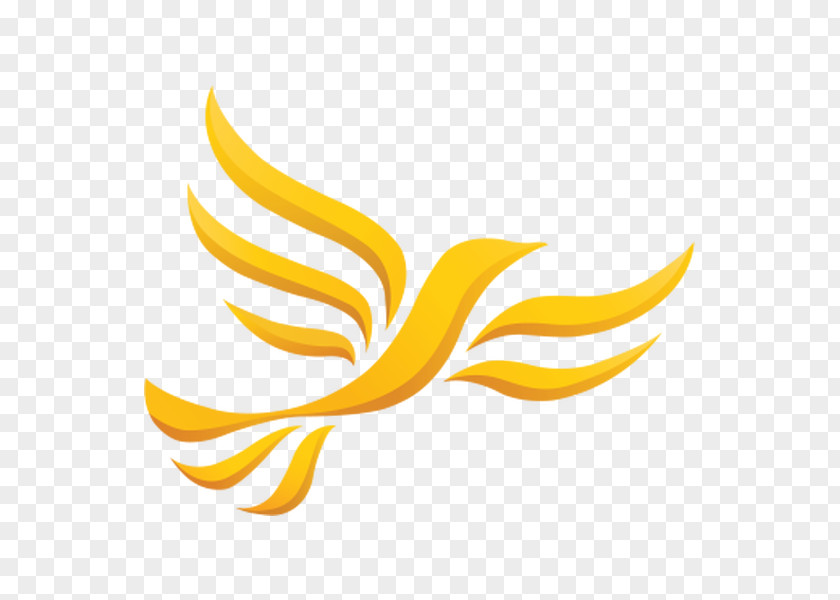 Liberal United Kingdom Scottish Democrats Liberalism Welsh PNG