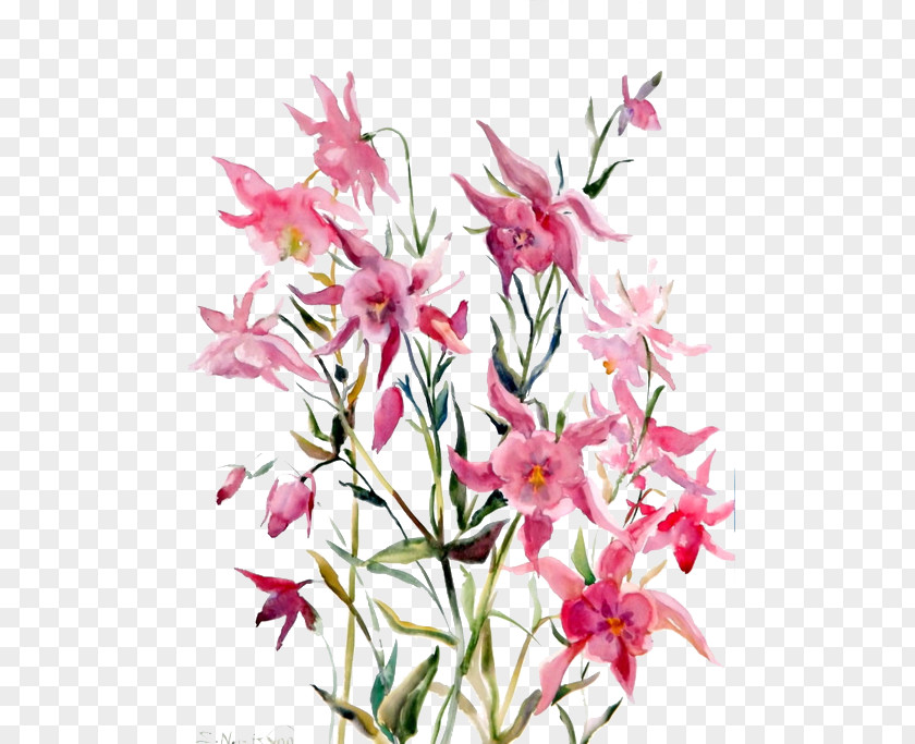 Pink Lily Lilium Computer File PNG