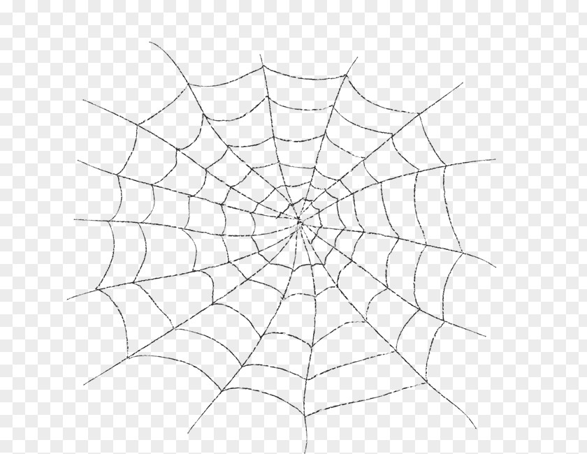 Spider Web Image Silk PNG