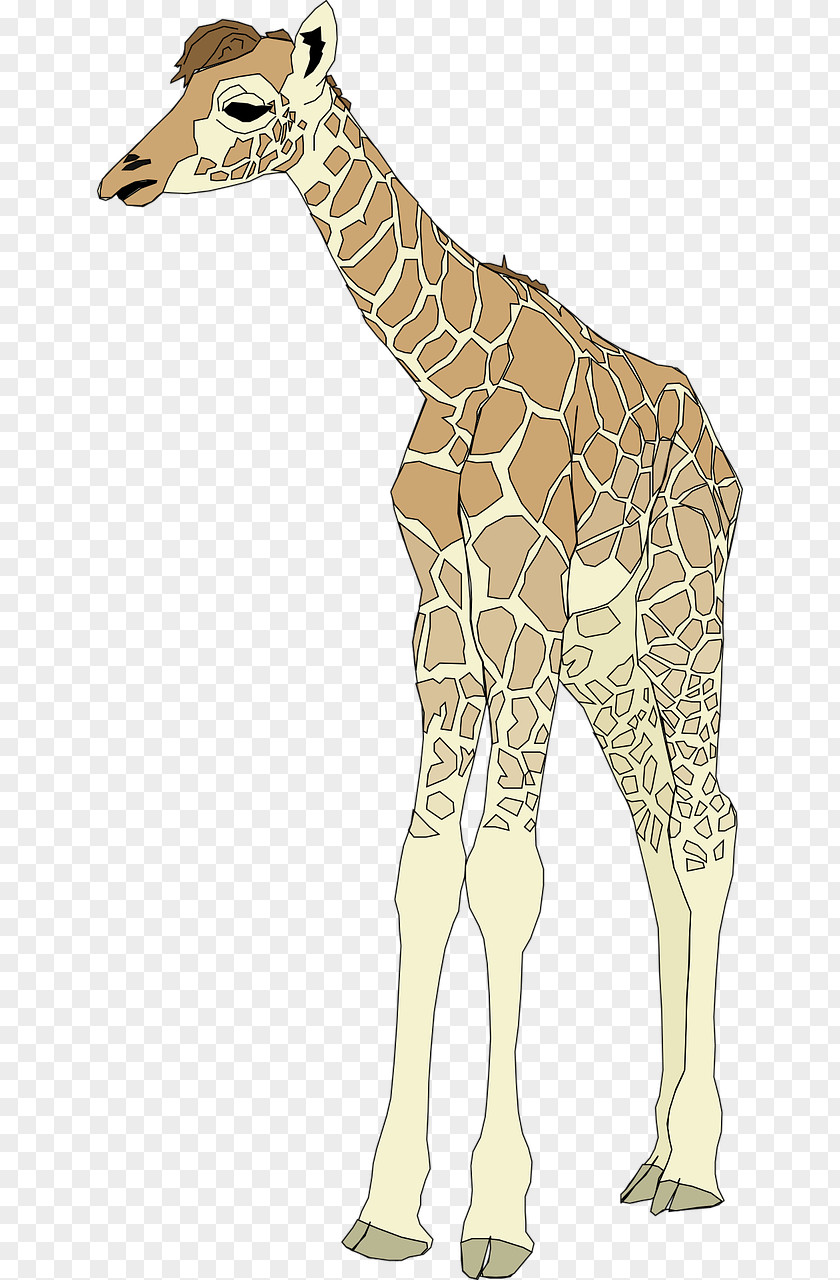 Strong Deer Giraffe Clip Art PNG