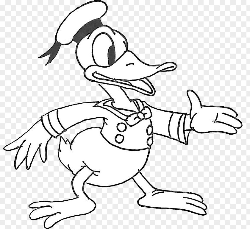 Duck Drawing Water Bird Line Art Clip PNG