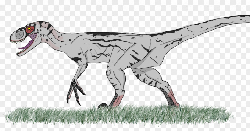 Jurassic Park Velociraptor Deinonychus Tyrannosaurus World Evolution PNG