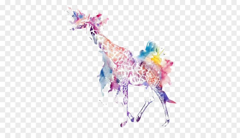 Painted Giraffe Watercolor Painting Illustration PNG