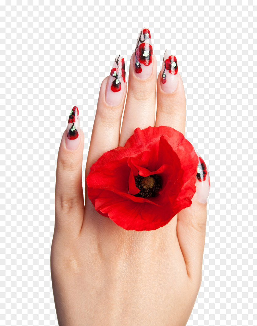 Personalized Red Tones Nail Art High-definition Television Polish Video PNG