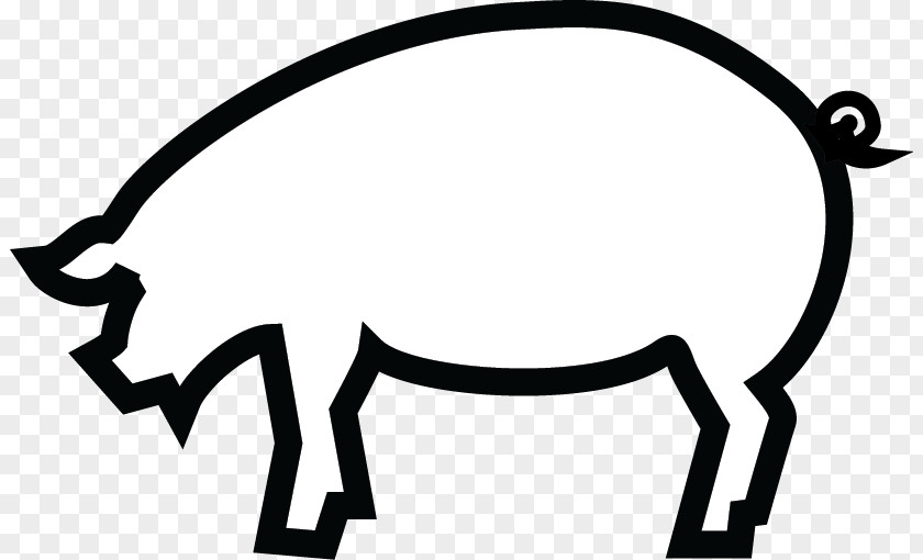 Pig Pre-clinical Development Clinical Trial Animal Clip Art PNG