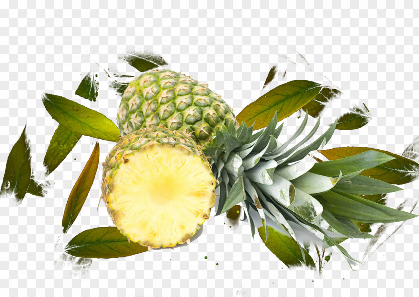 Pineapple Fruit Leaves Juice Leaf PNG