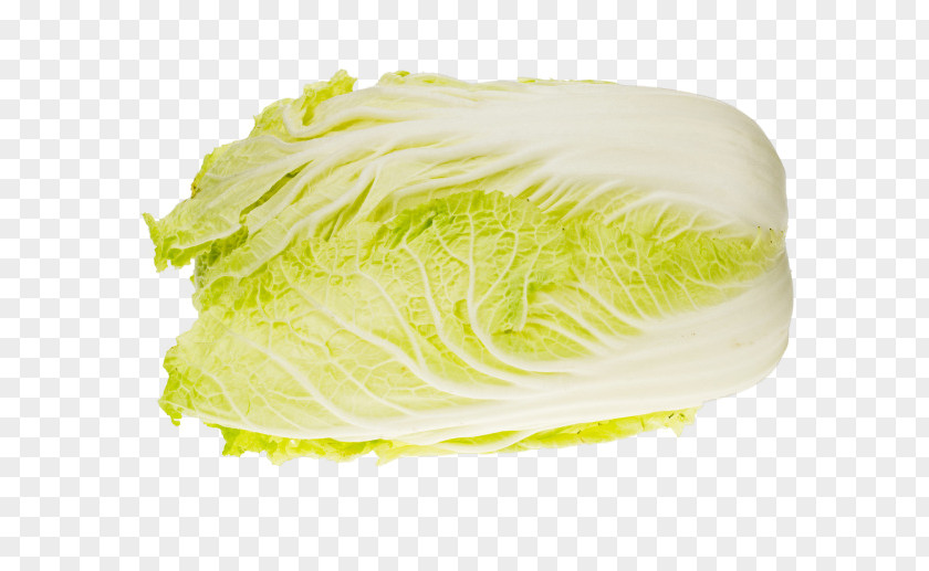Sketch 3d Creative Fruit Romaine Lettuce Napa Cabbage Chinese Broccoli PNG