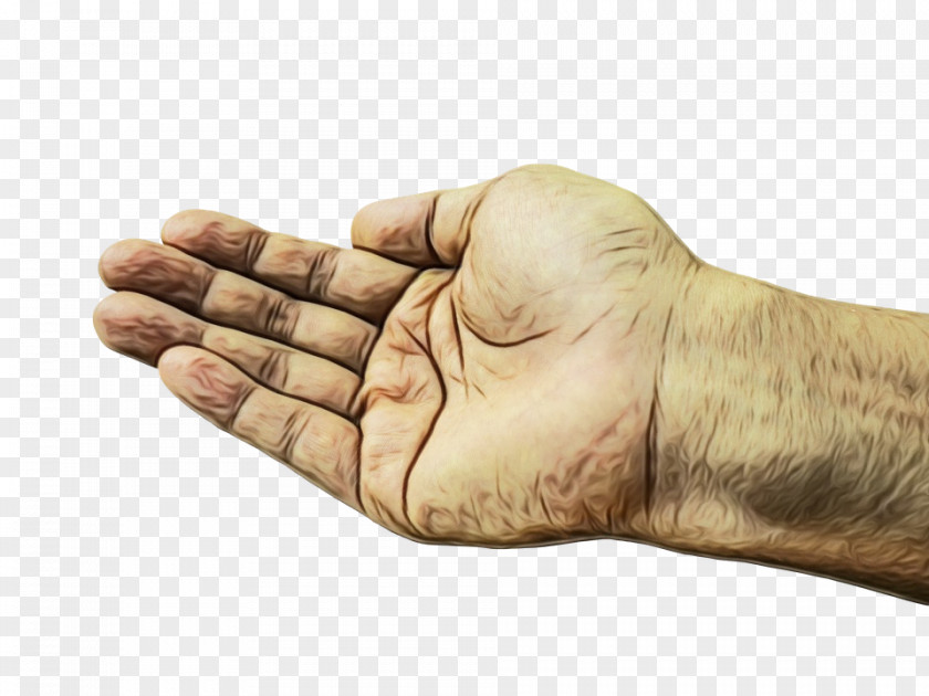Thumb Human Hand Finger Gesture PNG