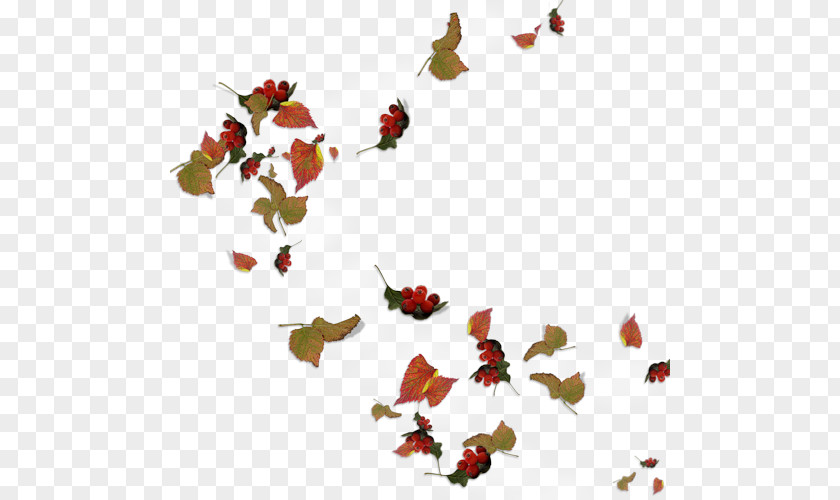 Autumn Reeser M. Butterfly Font Branching PNG