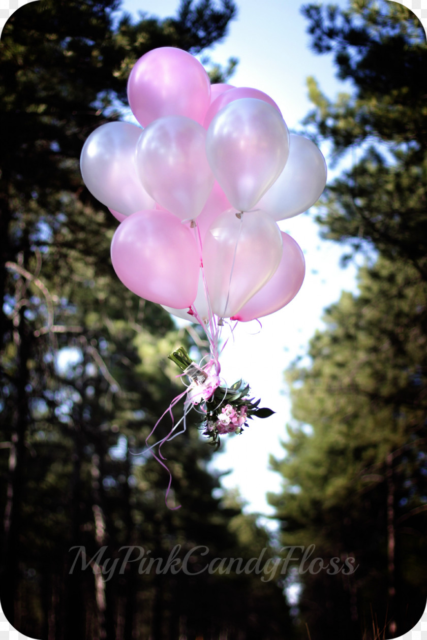 Balloon Pink M Petal PNG