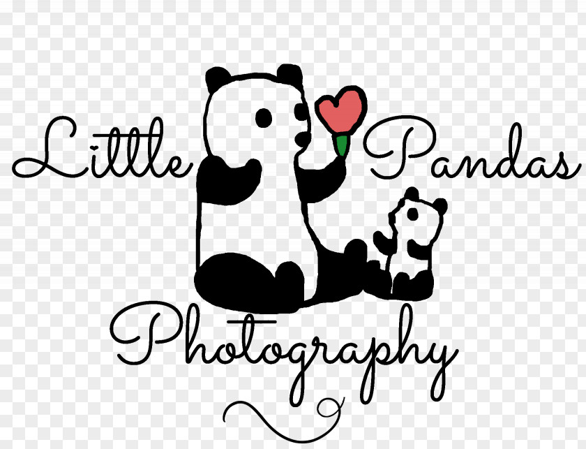 Bear Logo Little Pandas Photography Giant Panda Mammal PNG