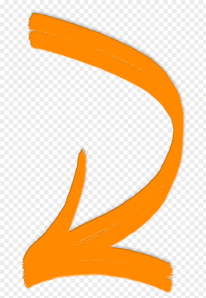 Orange Clip Art PNG