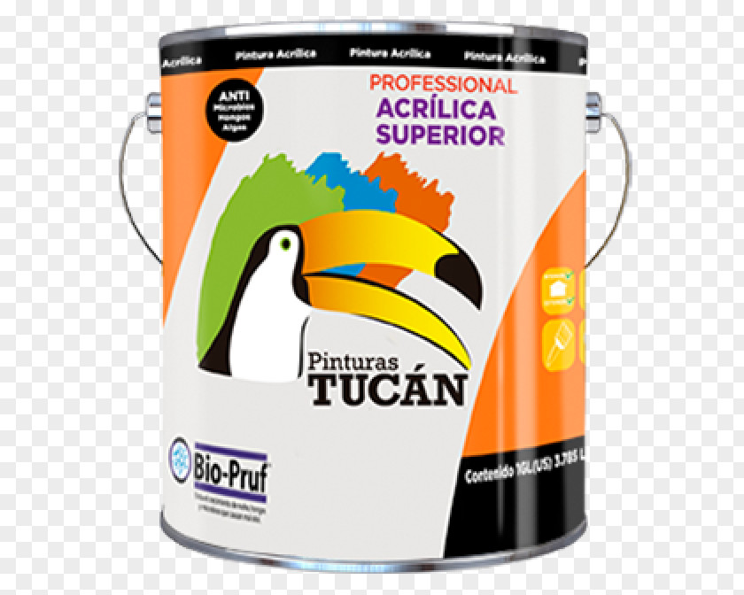 Painting Toucan Acrylic Paint Art PNG