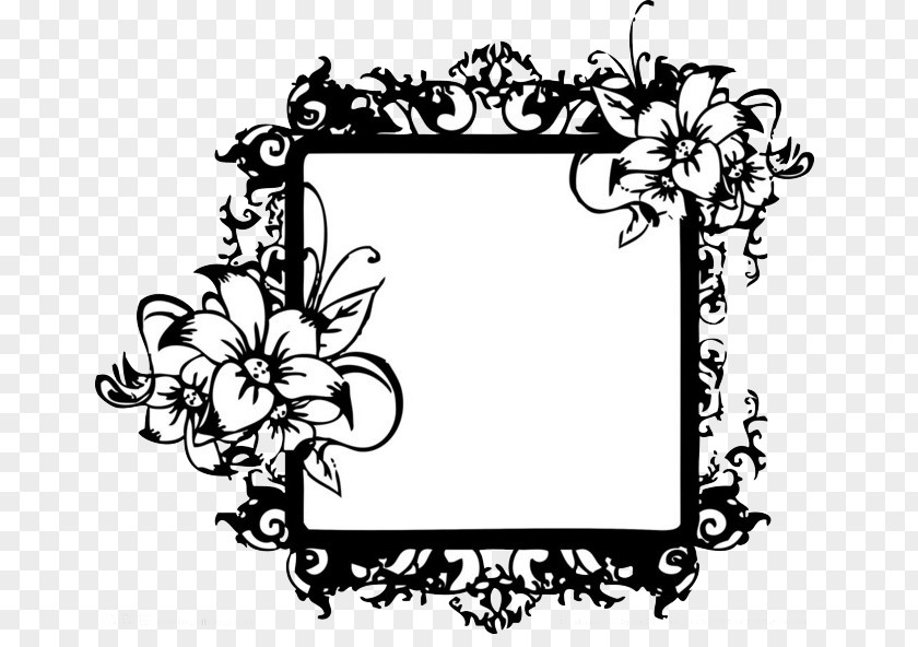 Black Frame Picture And White PNG