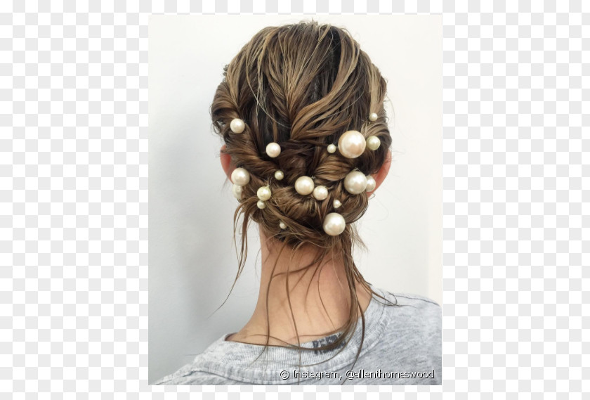 Hair Hairstyle Capelli Pearl Updo PNG