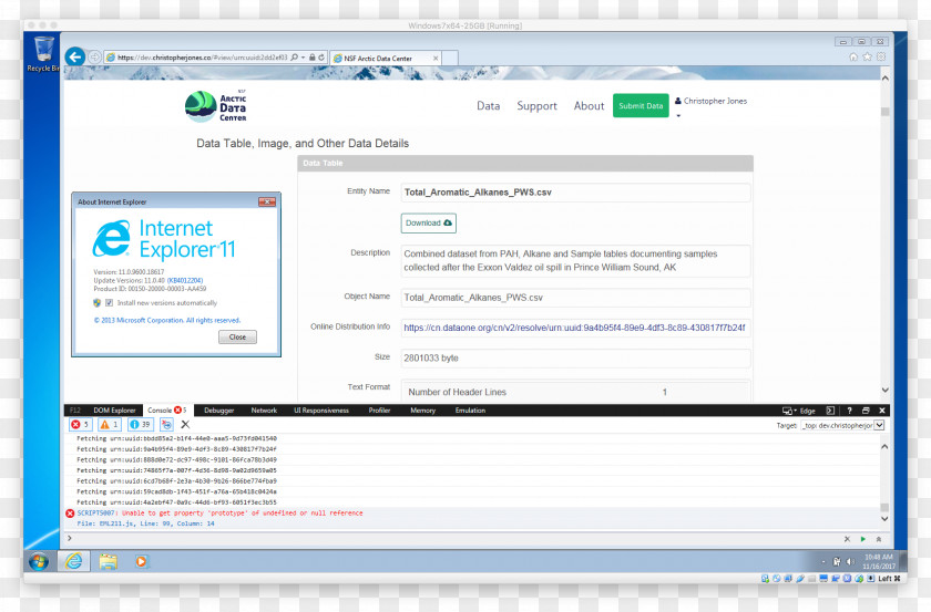 Internet Explorer Computer Software Monitors Program Screenshot PNG