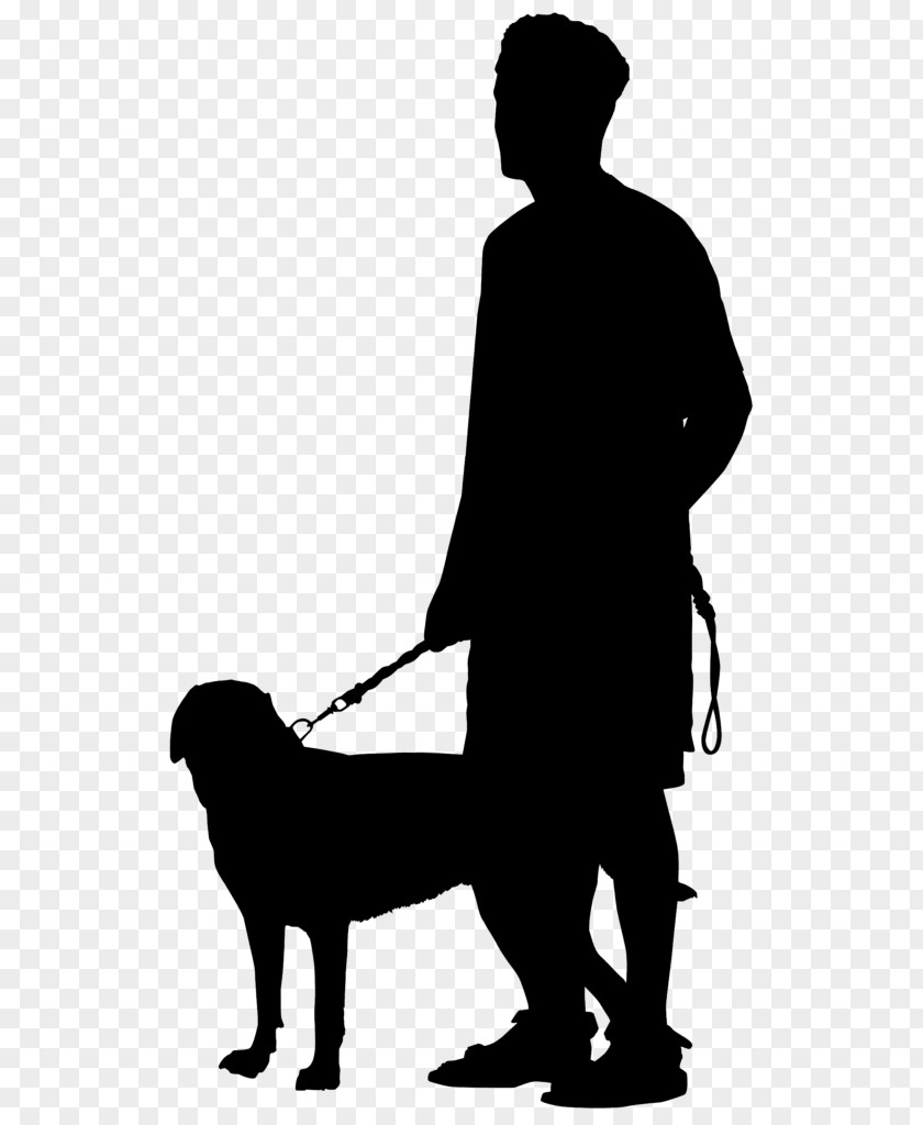 Tail Companion Dog Sitting PNG