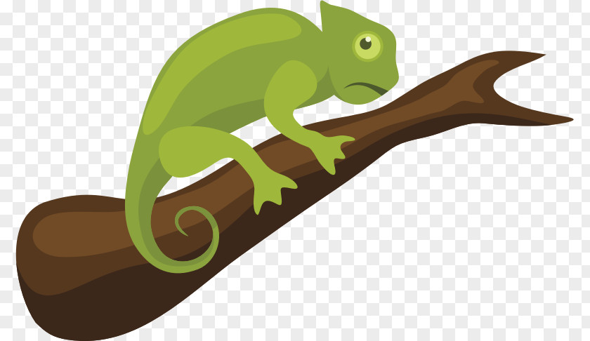 Chameleon Cages Chameleons Reptile Chameleon, Clip Art Colorful PNG