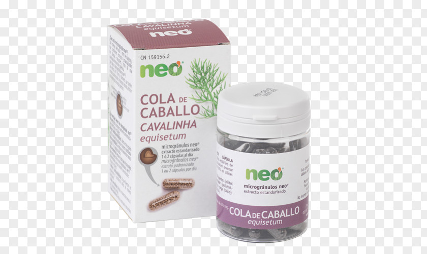 Green Tea Dietary Supplement Capsule Field Horsetail PNG