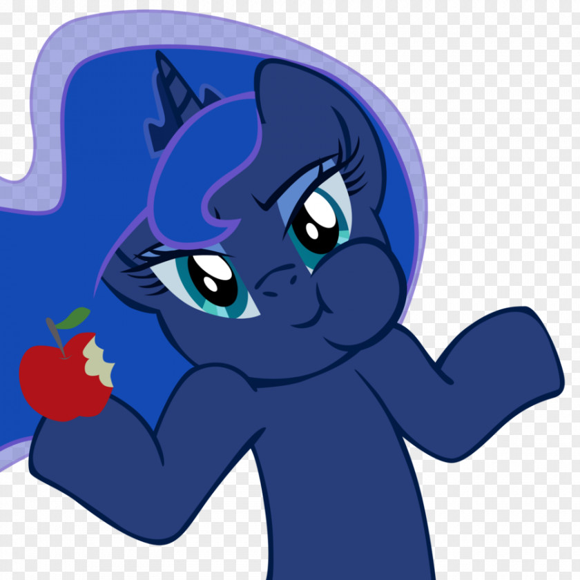 Little Pony Princess Luna Twilight Sparkle Derpy Hooves Spike Rainbow Dash PNG