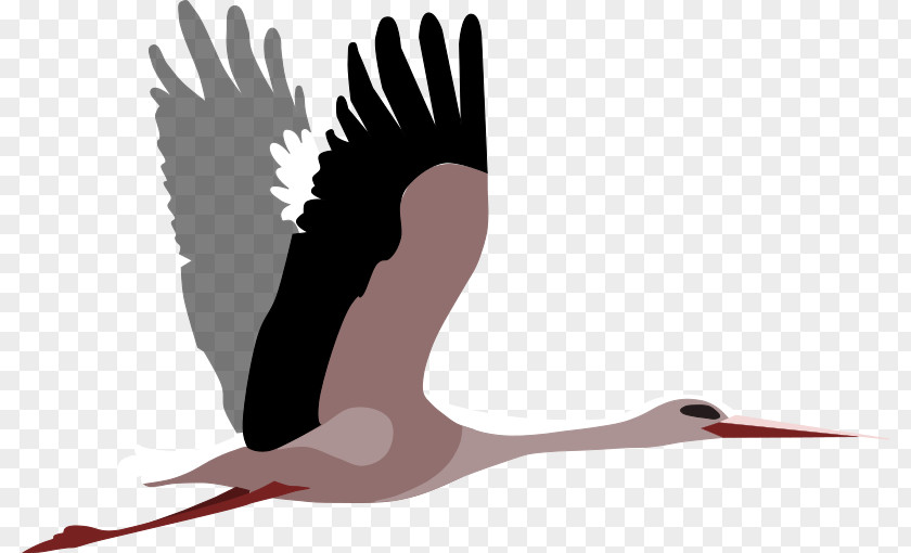 Love White Stork Clip Art Openclipart Vector Graphics Windows Metafile PNG