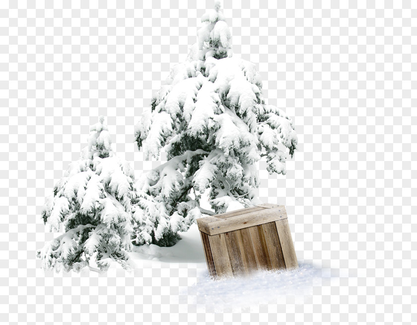 Winter Pine Wooden Box Snow Tree Forest PNG