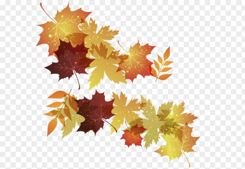 Autumn Leaves Maple Leaf PNG