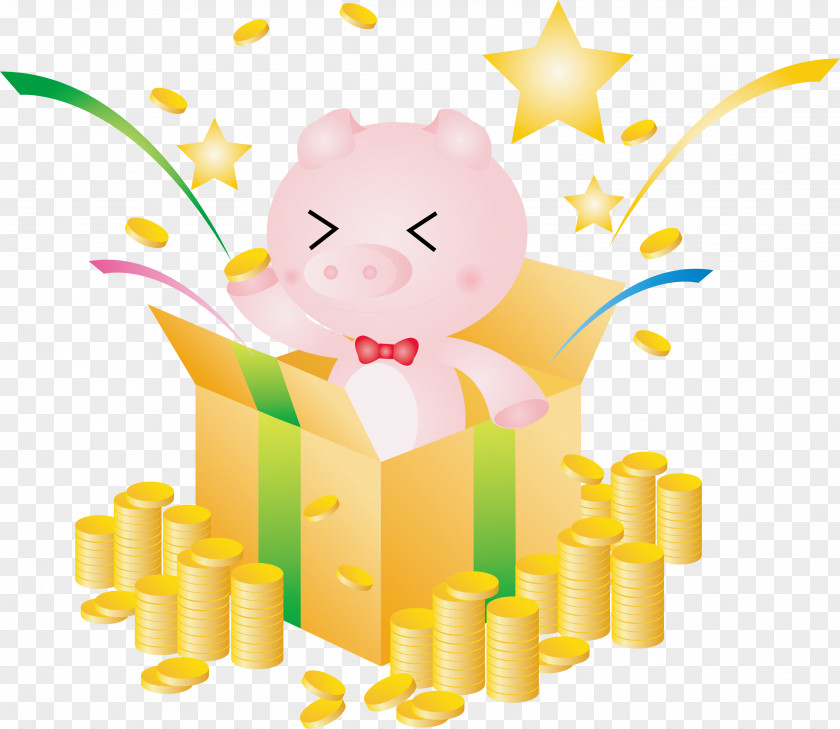 Bear Box Material Gift PNG