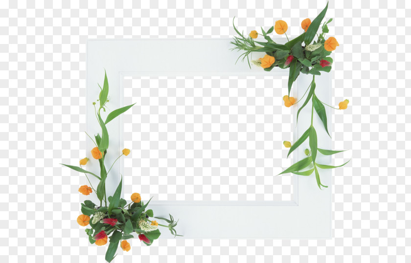 Design Picture Frames Floral PNG