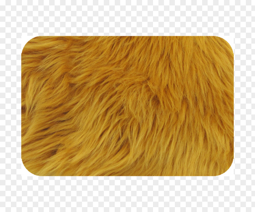 Fur Wool PNG