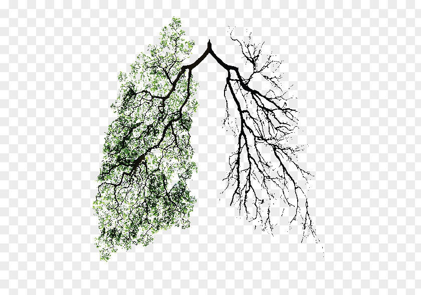 Side Bar Lung Cancer Earth Green PNG