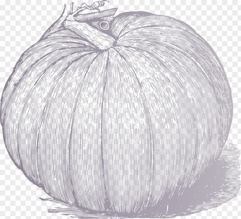 Vegetable PNG