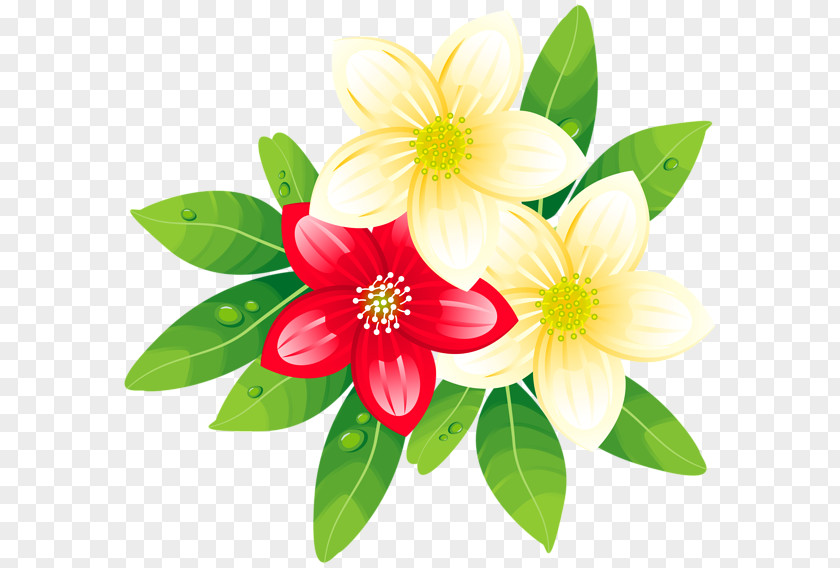 Exotic Flower Desktop Wallpaper Clip Art PNG