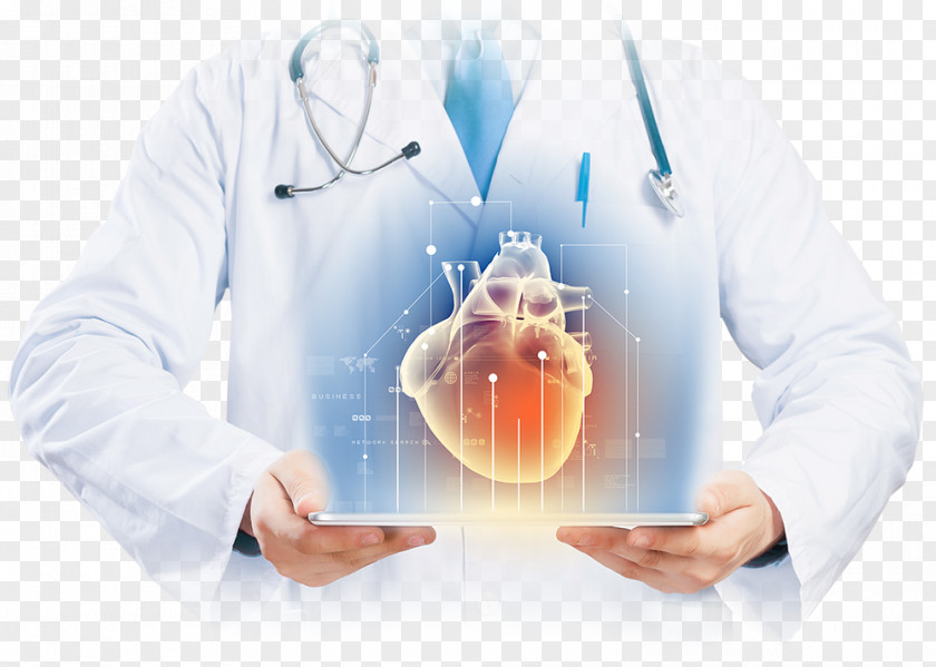 Heart Cardiology Health Care Cardiovascular Disease Medicine PNG