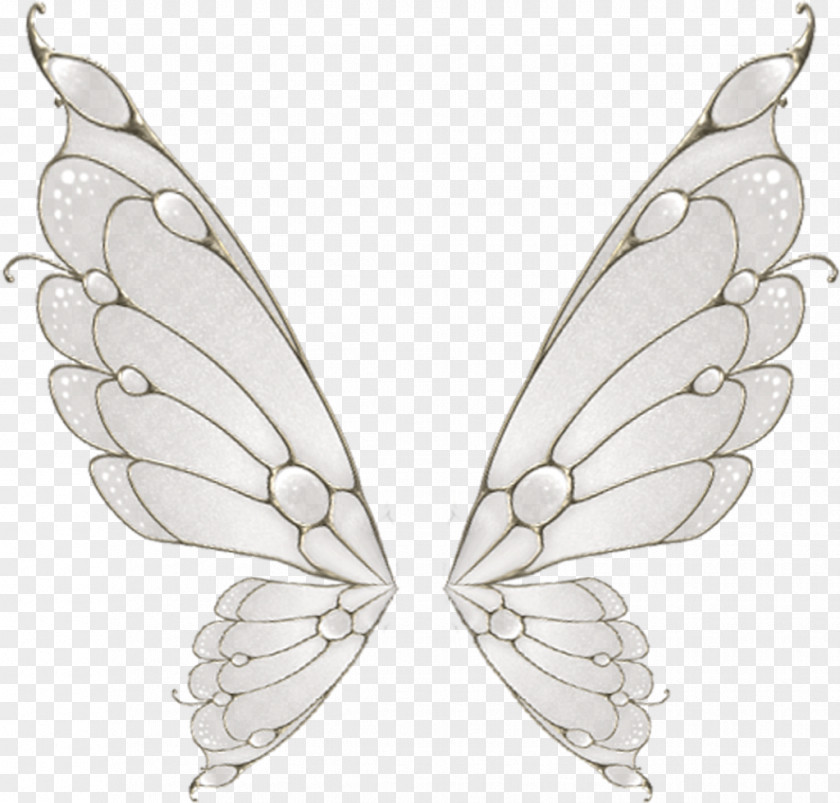 Painted White Butterfly Wings Wing Flight Moth PNG