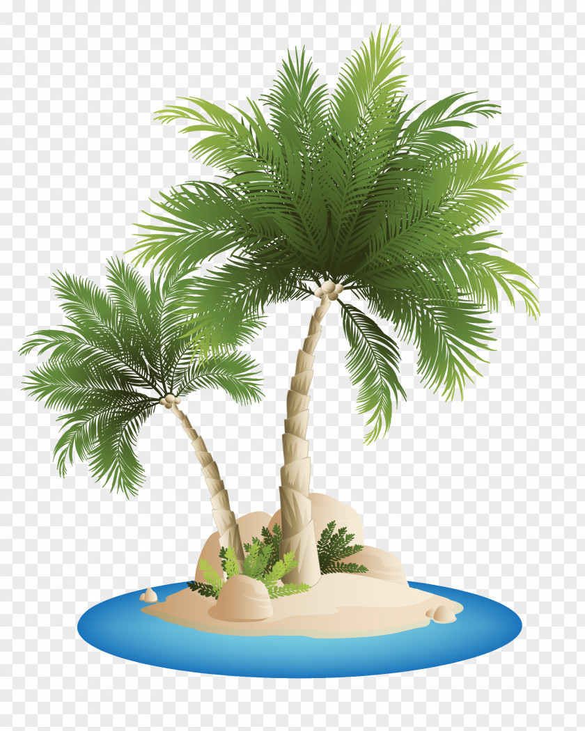 Sea Island,coconut,Coco,tourism,Great Palm Islands Beach Clip Art PNG