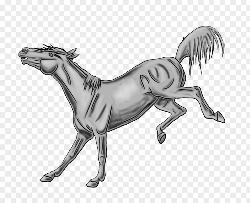 Sorrel Animation Horse Cartoon PNG