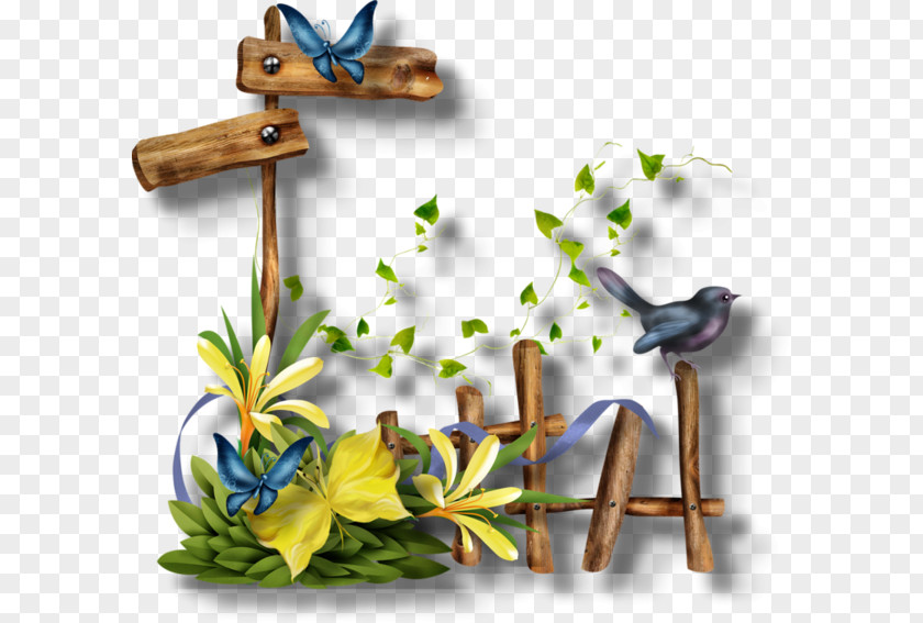 Summer Model Wood Spring Wish Blessing Friday Morning Happiness PNG