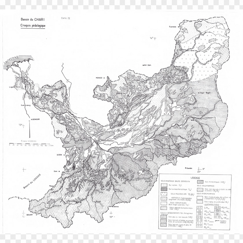 Tree Line Point Map White PNG