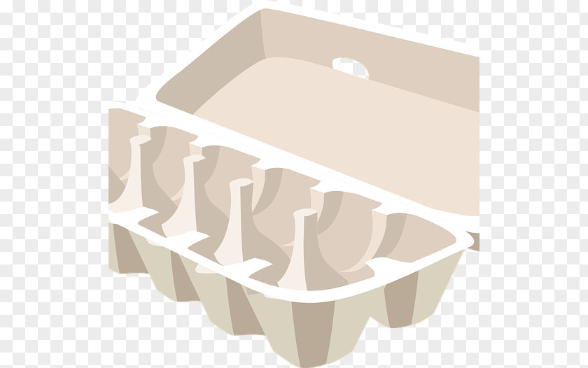 Chicken Eggnog Fried Egg Salad Carton PNG