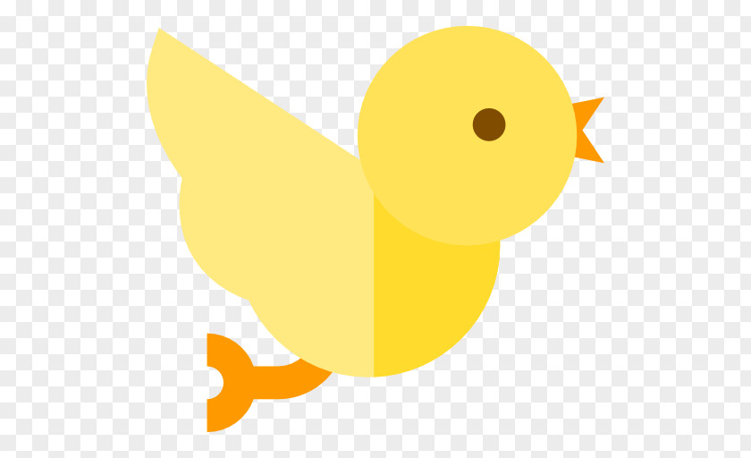 Duck PNG