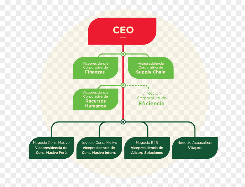 Latinoamerica Organizational Chart Alicorp Peru Human Resource Management PNG