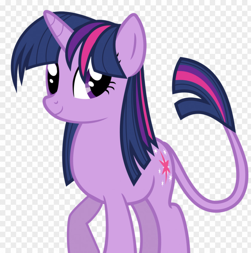Twilight Sparkle Pinkie Pie Applejack Pony Princess Cadance PNG