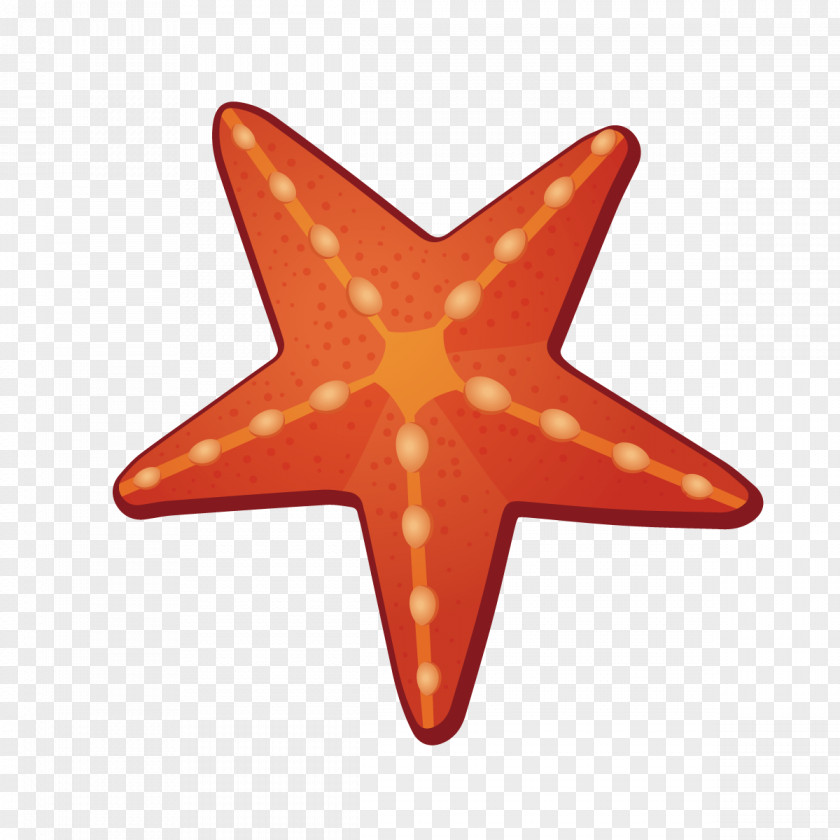 Vector Orange Starfish Paper Lighting Color PNG