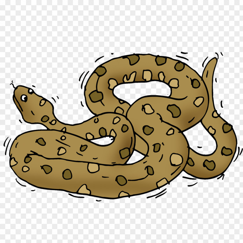 Anaconda Transparency And Translucency Snakes Clip Art Cartoon Image PNG