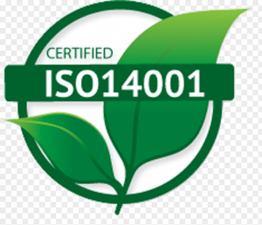 Business ISO 14000 Environmental Management System 14001 Organization PNG