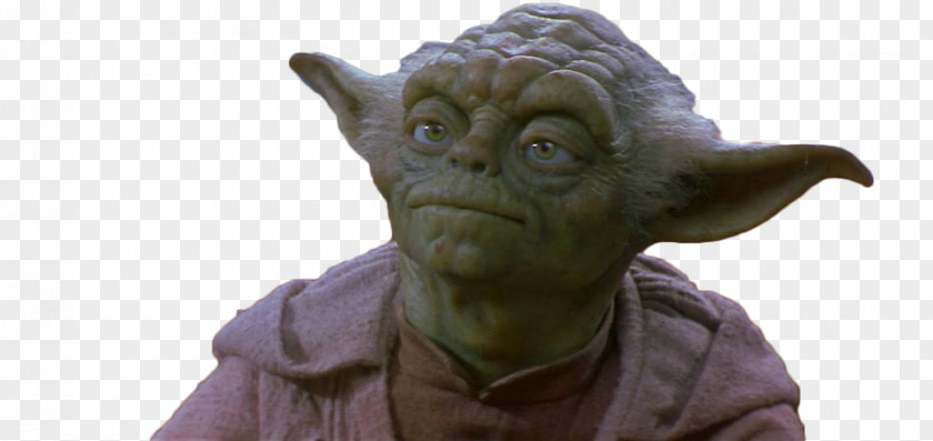 Qui Gon Jinn Yoda Chewbacca Star Wars Day Jedi The Force PNG